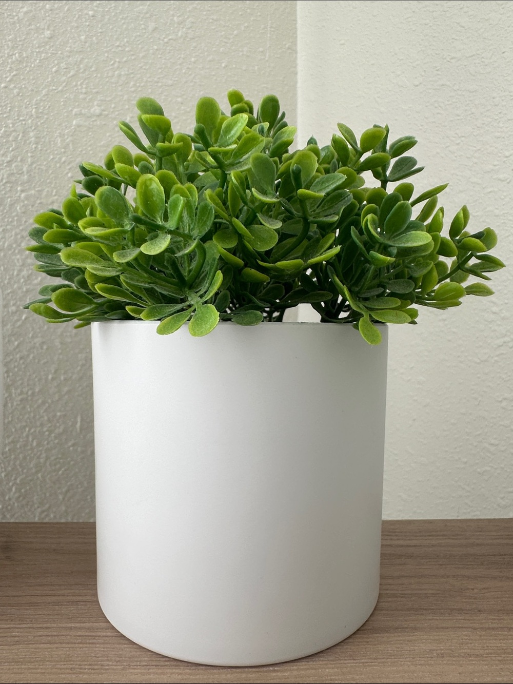 Faux Mini Potted Plant